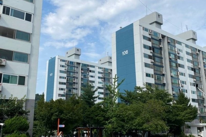 Страна, где даже мусор по расписанию: заметки о Южной Корее