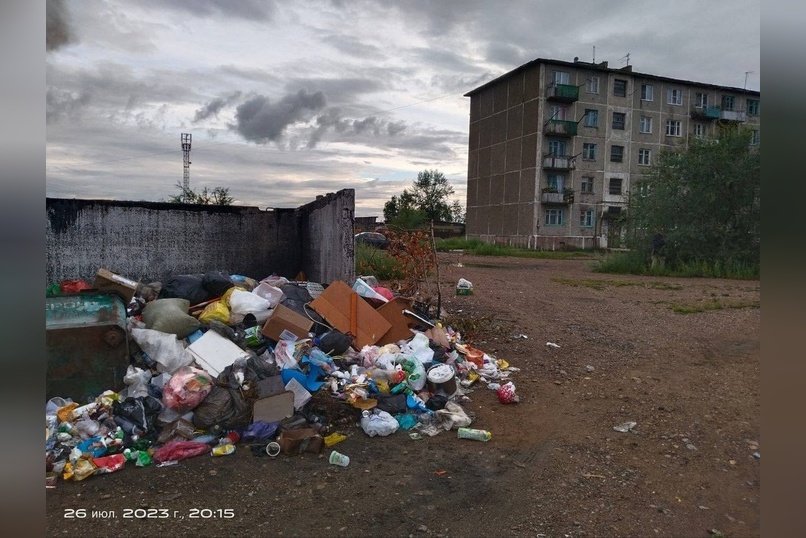 «Горы мусора, в жару запахи и мухи»: во дворе Домны всё лето не вывозили мусор