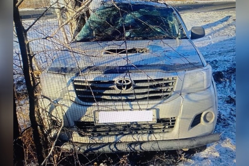 Водитель не справился с управлением и наехал на дерево