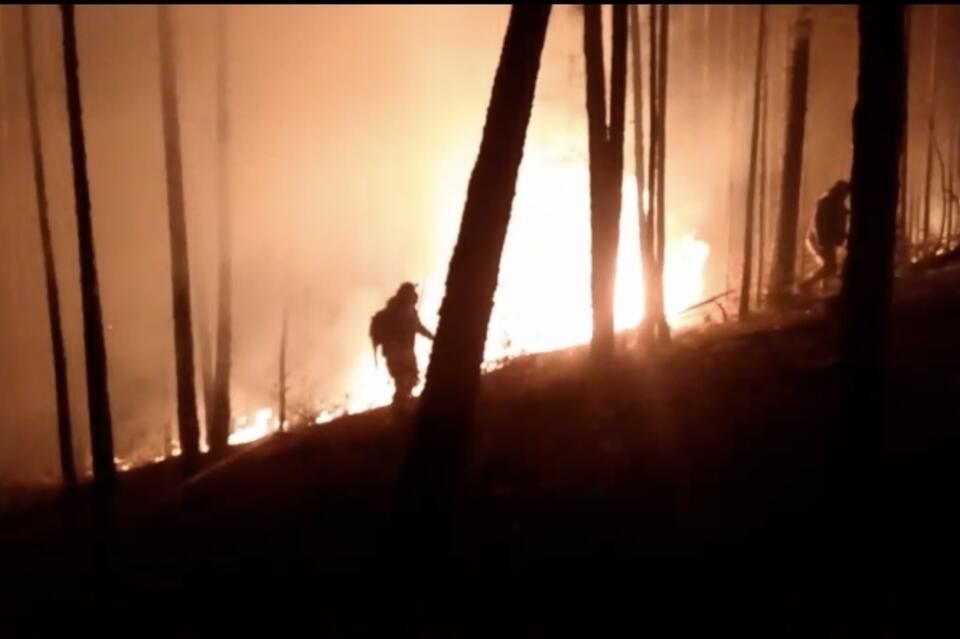 «Забайкалье в огне»: пожары уничтожают лес около Дарасуна