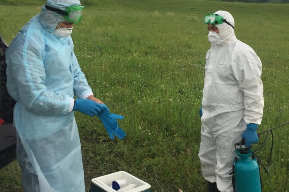 Роспотребнадзор ввел допмеры профилактики чумы на территории России