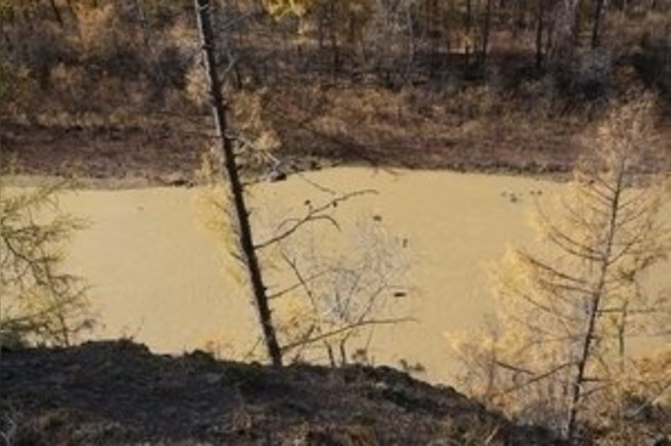 Загрязнение реки Аргунь в Забайкалье стало одним из крупнейших в России