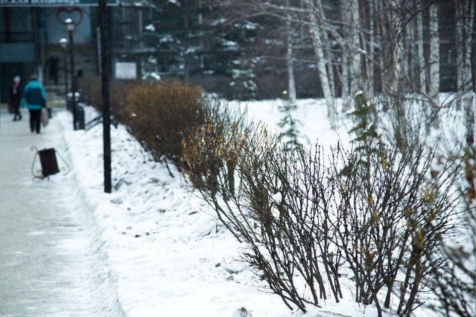 Ожидается небольшой снег в Забайкалье 1 апреля