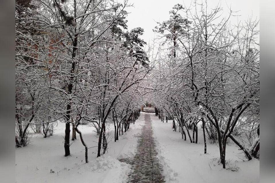 Погода в Забайкалье на январь: синоптики рассказали о втором месяце зимы
