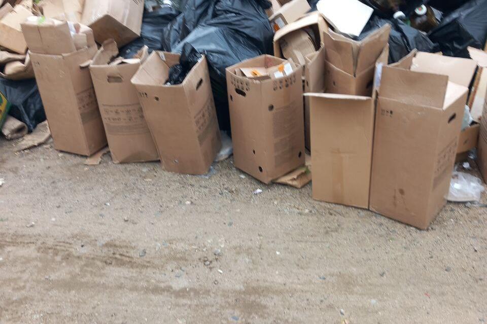 Жители микрорайона Северный шокированы растущей свалкой