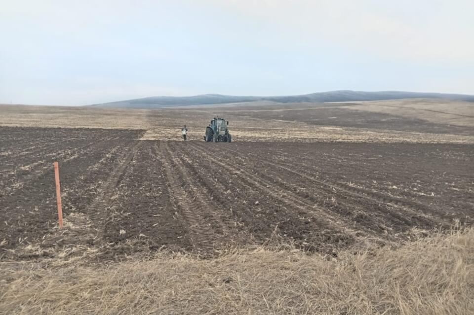 Масштабный эксперимент ставят в трех климатических зонах Забайкалья