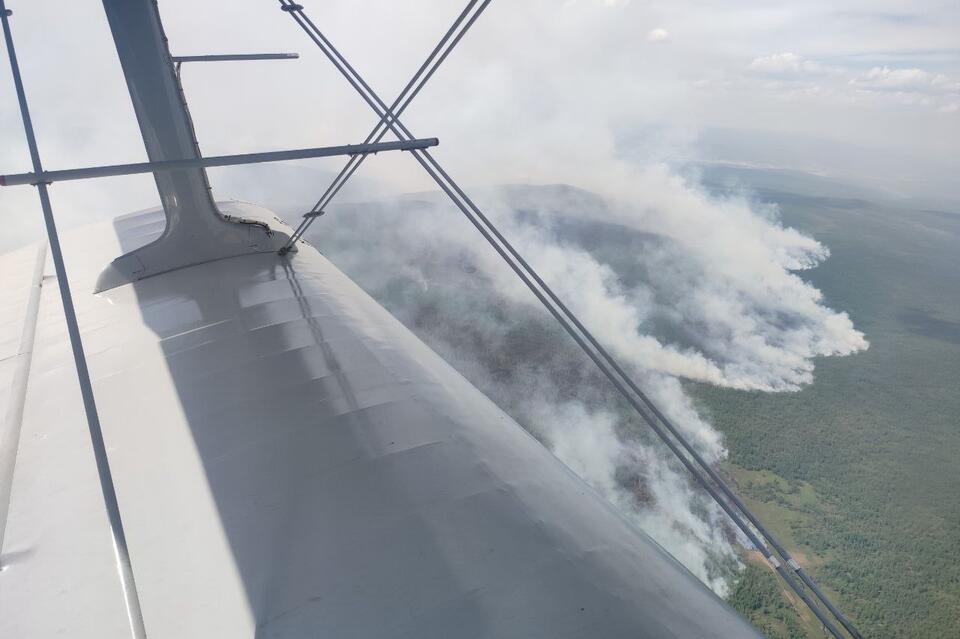 В Чарском лесничестве авиапатруль обнаружил лесной пожар