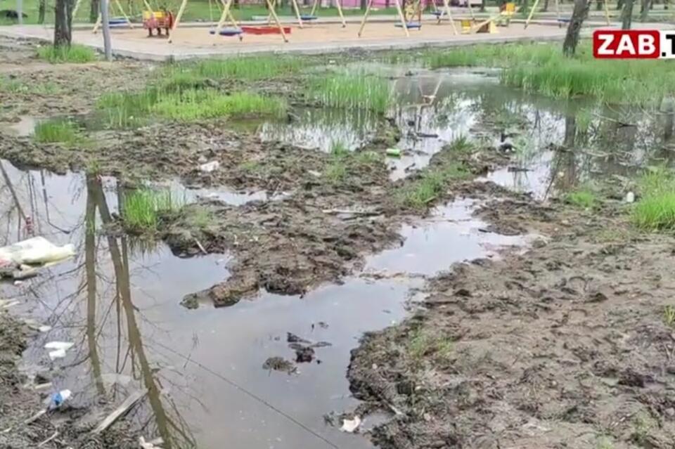 Парк за 50 миллионов рублей превратился в болото
