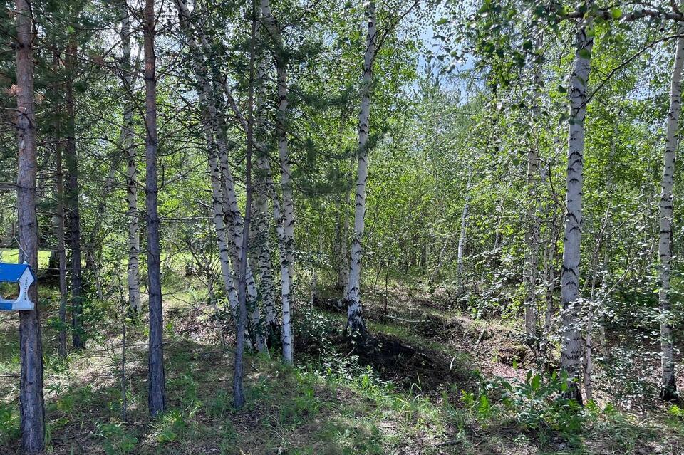 Гороскоп для жителей Забайкальского края на 24 августа