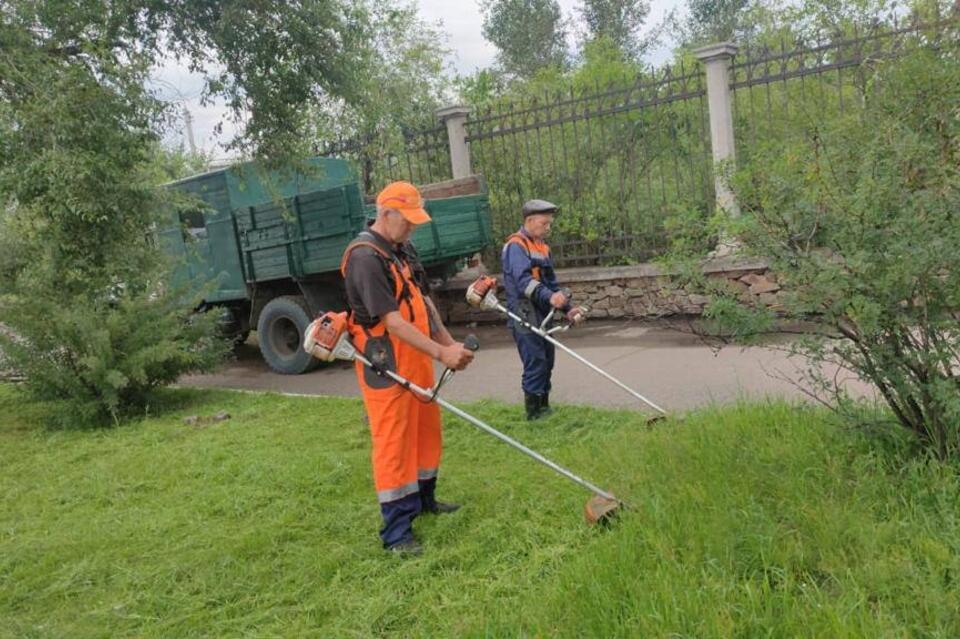 В Чите активно косят траву