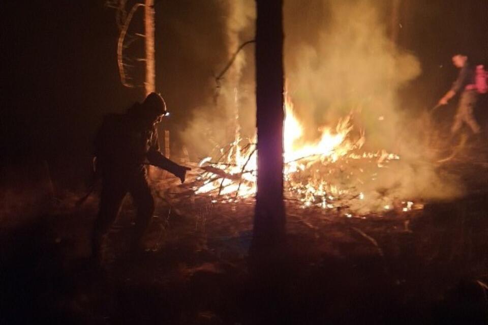 Четыре пожара действуют в настоящее время в Забайкалье