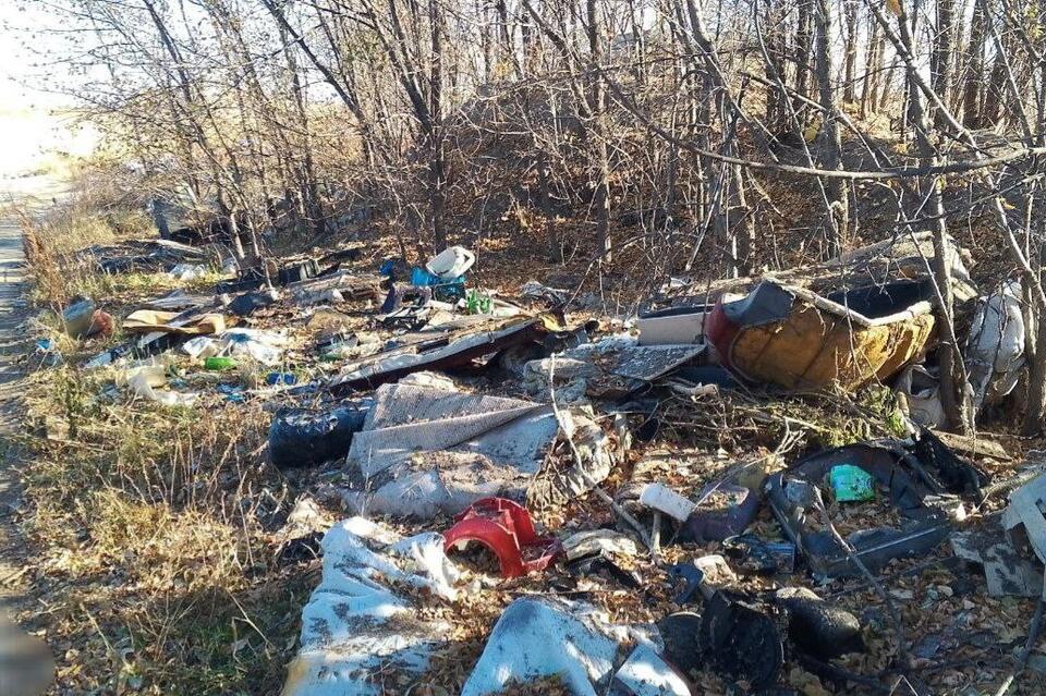 В Краснокаменском округе проверили свалки — выявлены нарушения