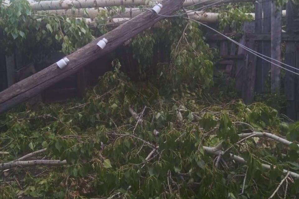 Жители Кокуя прислали порталу ZAB.RU фото упавших электроопор