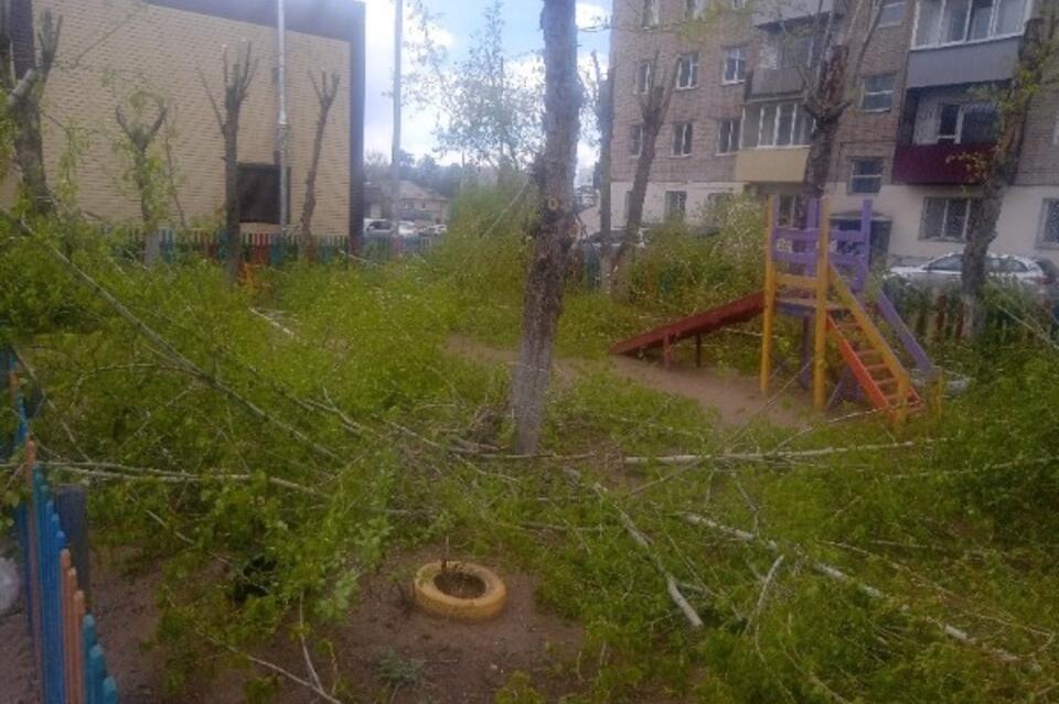Зелёные деревья обрезали во дворе дома в Чите и завалили детскую площадку