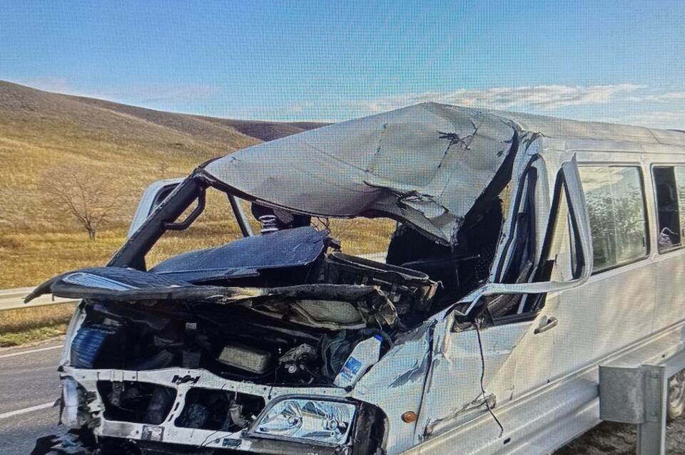 Водитель автобуса наехал на животное в Забайкалье