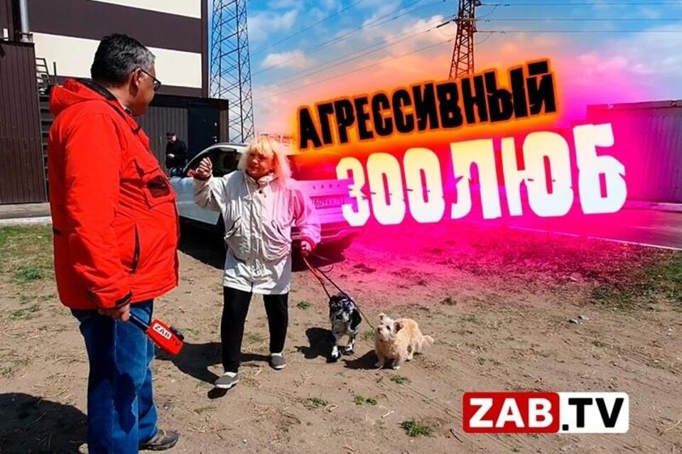 Следователи начали проверку после сюжета ZAB.TV