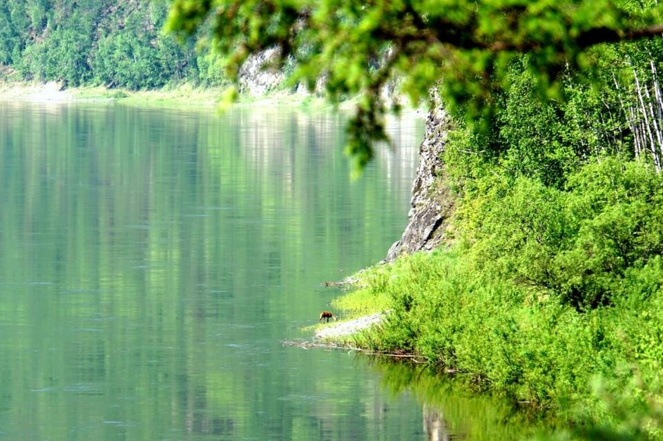 Небольшой подъем уровней воды отмечен в реках края