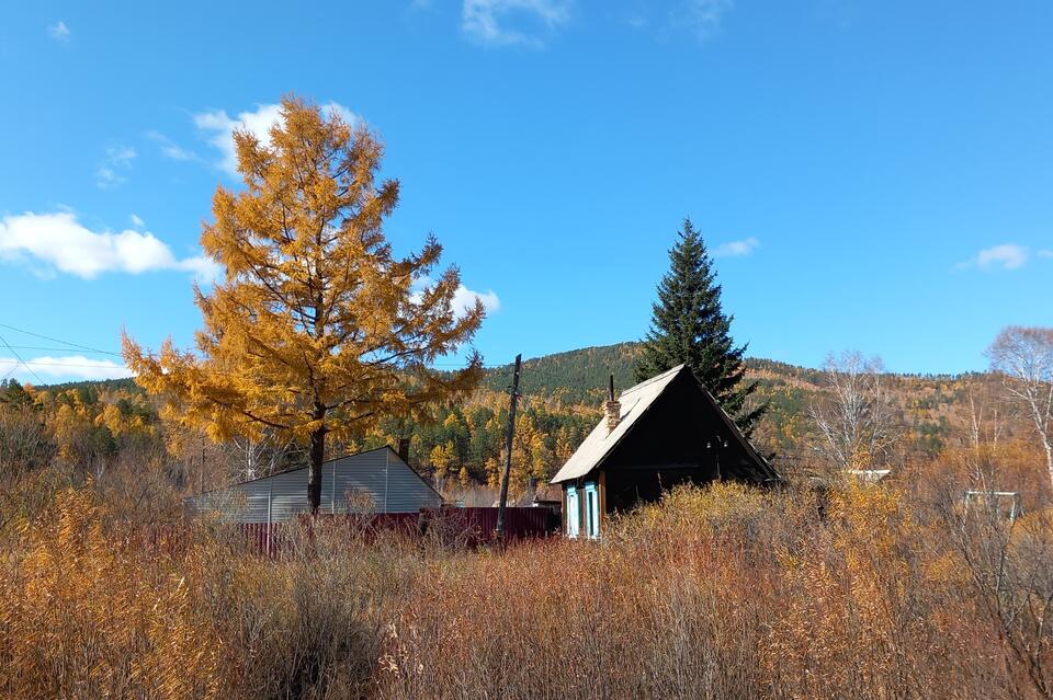 Не используешь - потеряешь: новые правила изъятия земли скоро вступят в силу