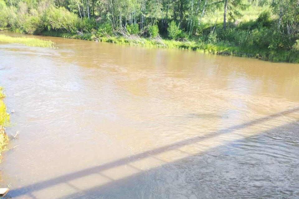 Региональный эконадзор проверил реки в Могочинском округе