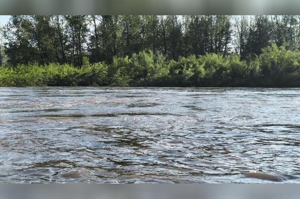 Уровень воды в Читинке на 62 см выше критического порога