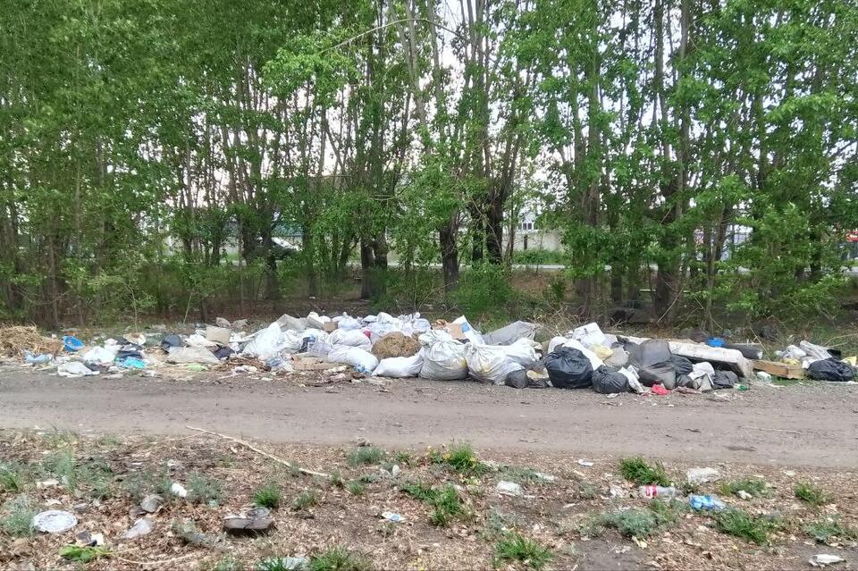 Две свалки на Кодарской ждут своего часа