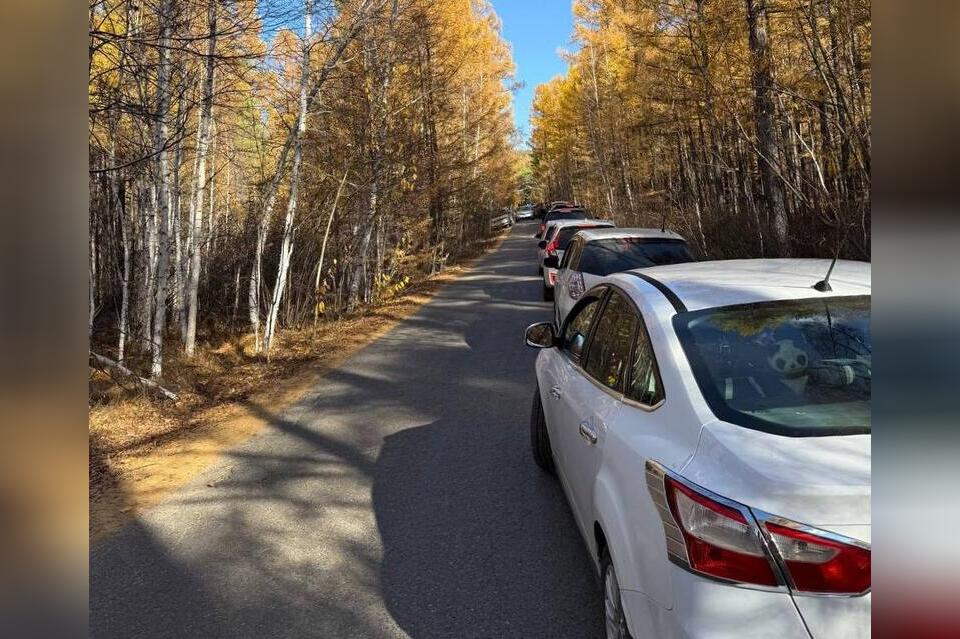 Огромная пробка образовалась по дороге на Молоковку