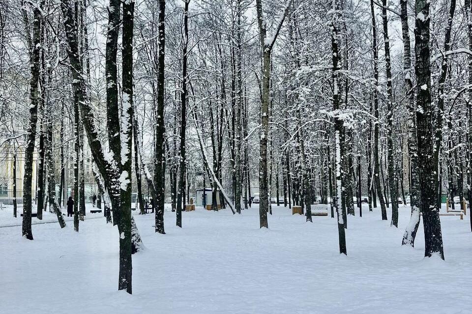 Снежные выходные ожидаются в Чите