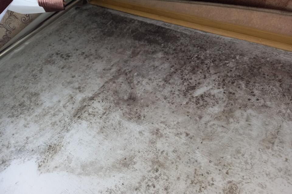 Еще один дом с плесенью обнаружен в Чите