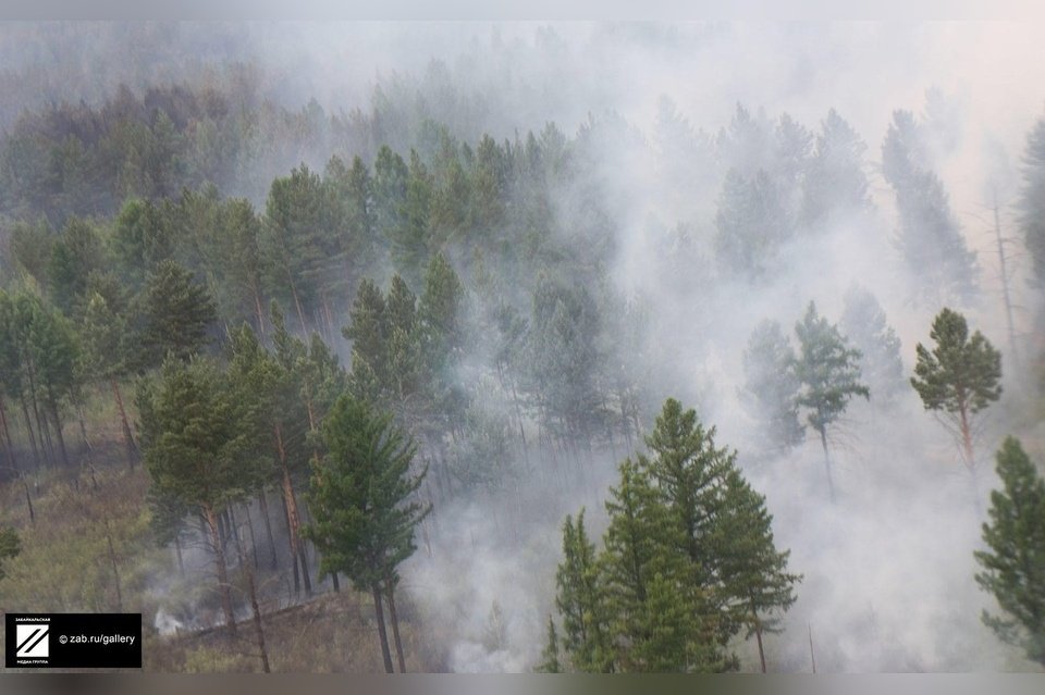 Четыре лесных пожара площадью около 30 тысяч гектаров потушили в Забайкалье