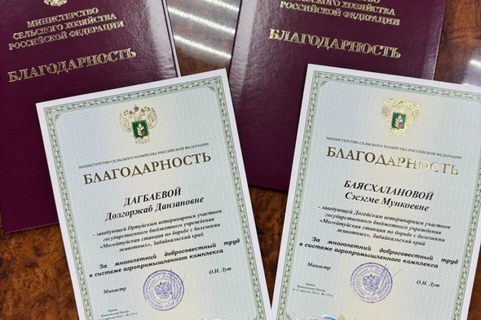 Ветеринаров Забайкалья отметили на федеральном уровне