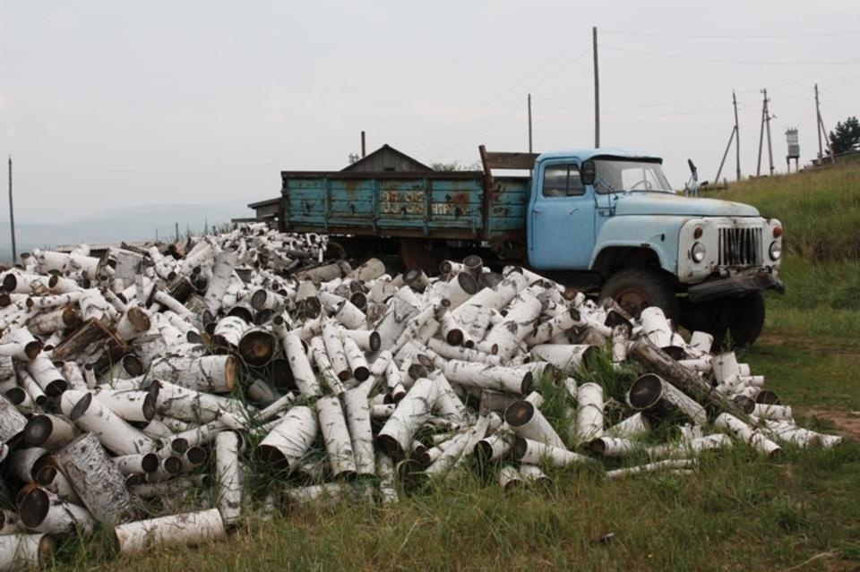 Глава Минприроды Забайкалья пожаловался на недостаток техники для перевозки дров