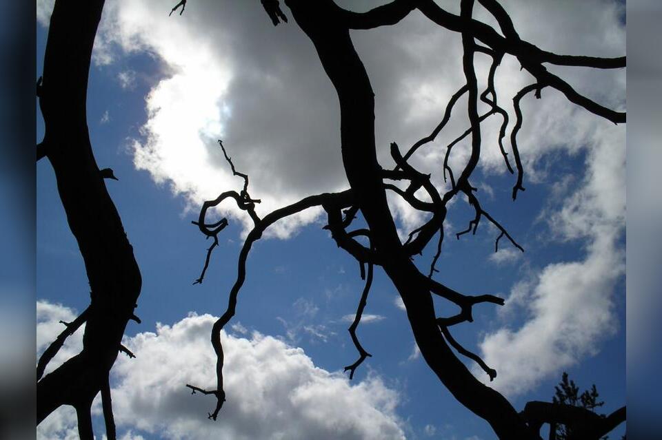 До 36 градусов опустится температура в Забайкалье