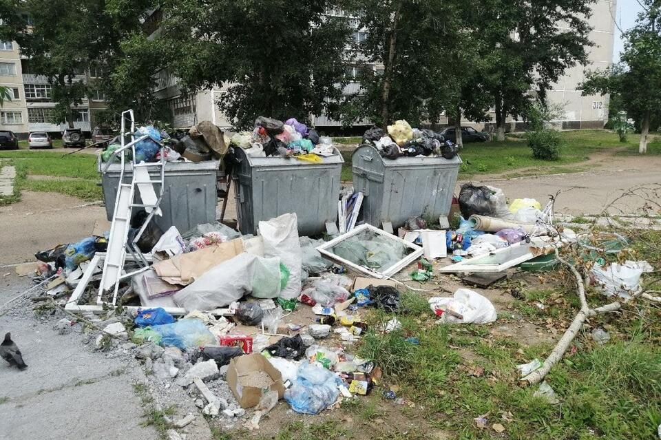 «Олерон+» перестал вывозить мусор в Краснокаменске - свалки теперь по всему городу