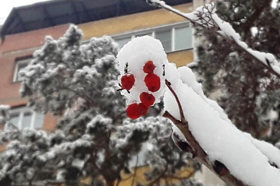 Морозы в Забайкалье достигнут -23 градусов