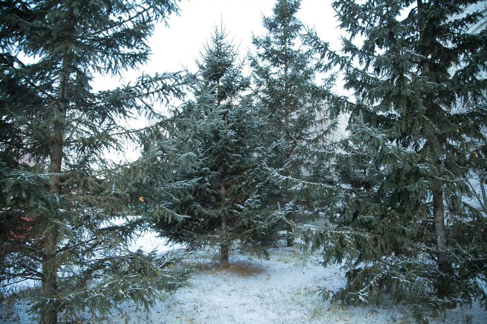 В Забайкалье 20 января местами небольшой снег