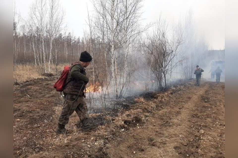 Помощь в тушении лесных пожаров осуществляют сотрудники «Забайкаллесхоза»