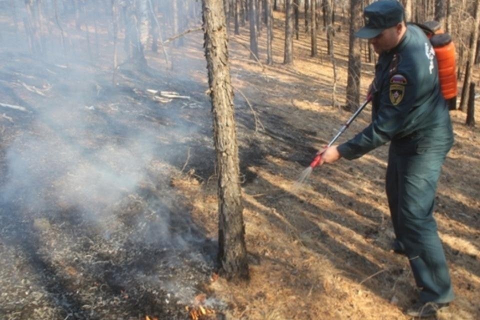 Лесные пожарные не допустили перехода огня на читинский квартал