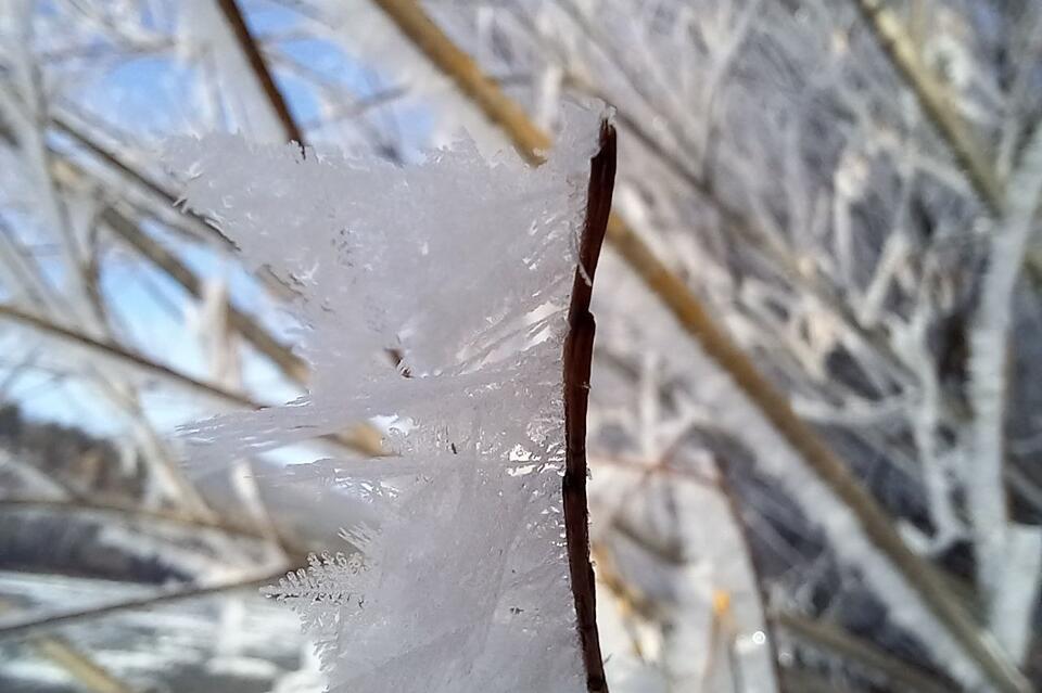 Гороскоп для жителей Забайкальского края на 15 ноября