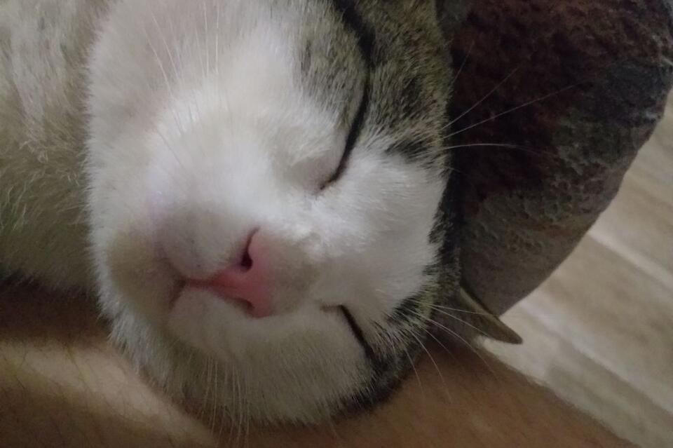 Большинство забайкальцев легли бы спать во время отключения электроэнергии