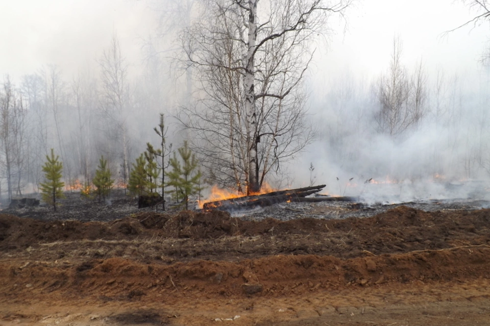Более 180 тысяч заплатит поджигатель за тушение леса в Забайкалье