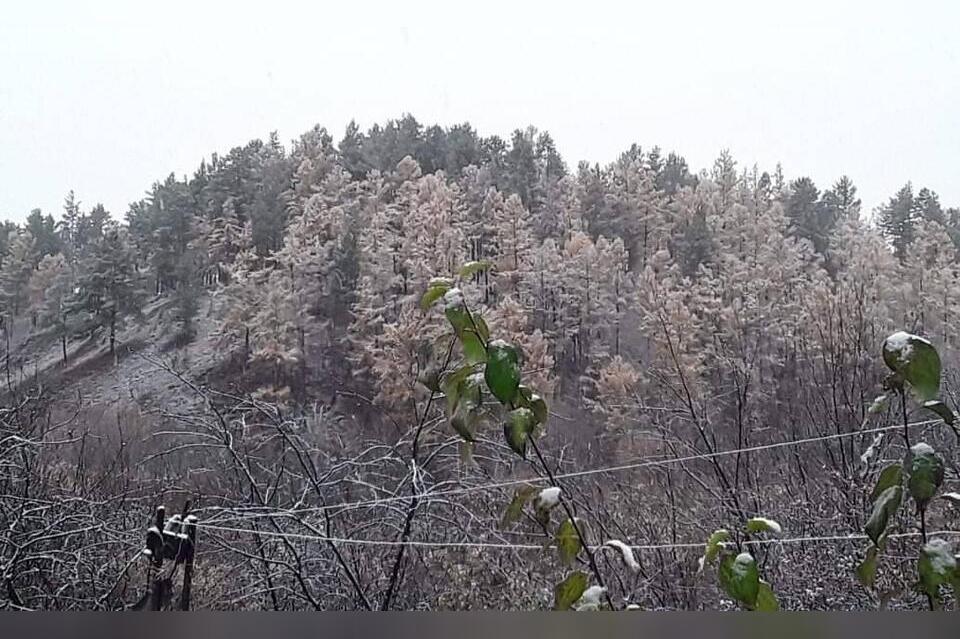Выпадение снега и сильный ветер ожидаются в Забайкалье в течение суток
