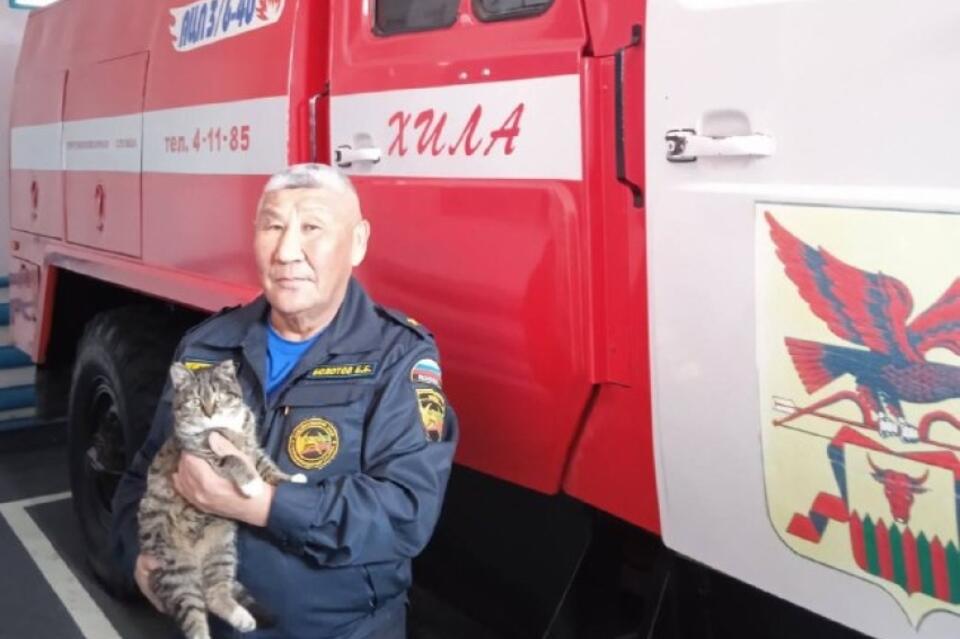 Забайкальские пожарные спасли сбитого машиной котенка на федеральной трассе