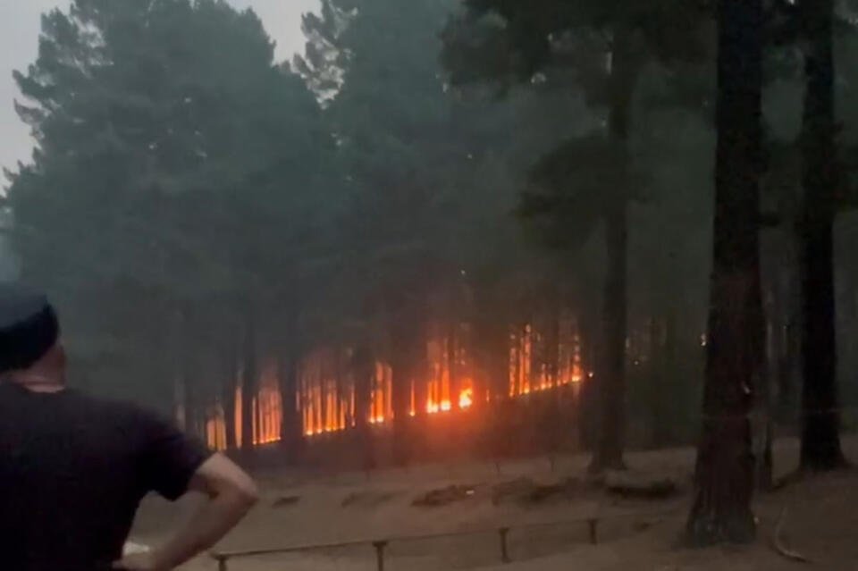 Лесной пожар остановили около лагеря «Энергетик»