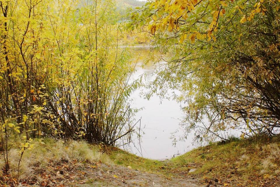 Гороскоп для жителей Забайкальского края на 20 октября