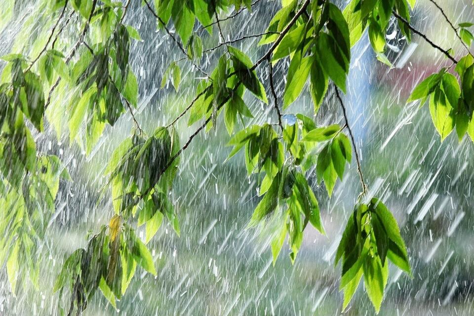 Дождь и усиление ветра ожидаются в Чите 27 и 28 мая