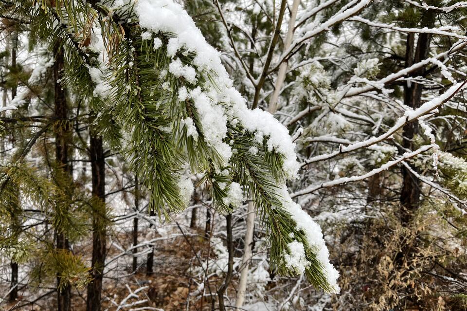 Небольшой снег пообещали Забайкалью