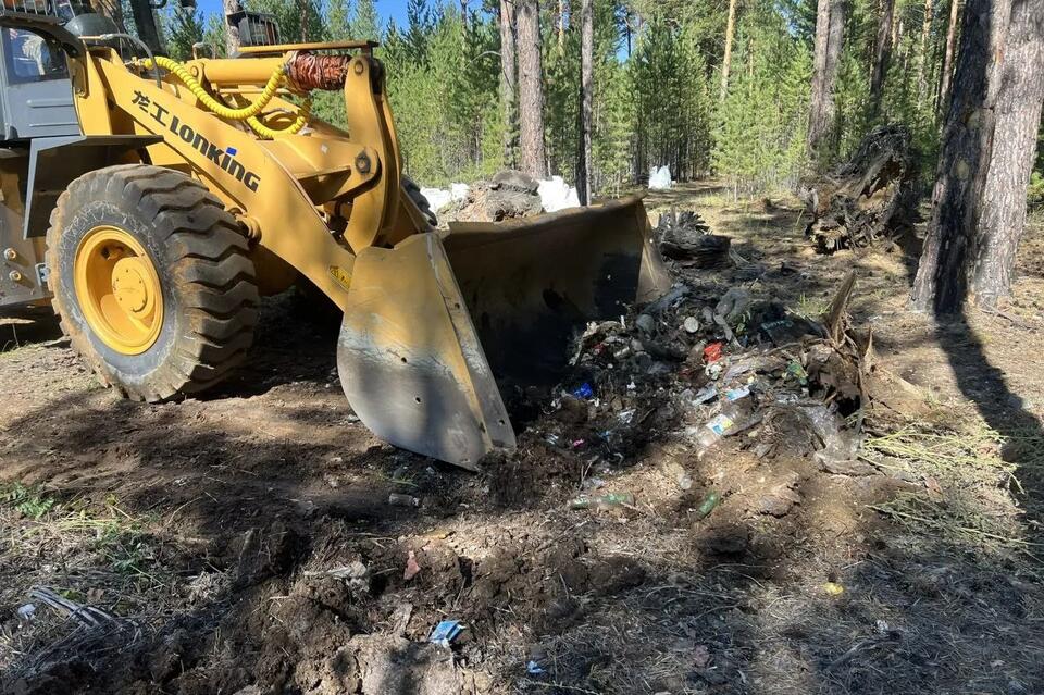 Около 400 кубов мусора вывезли из леса у посёлка Новая