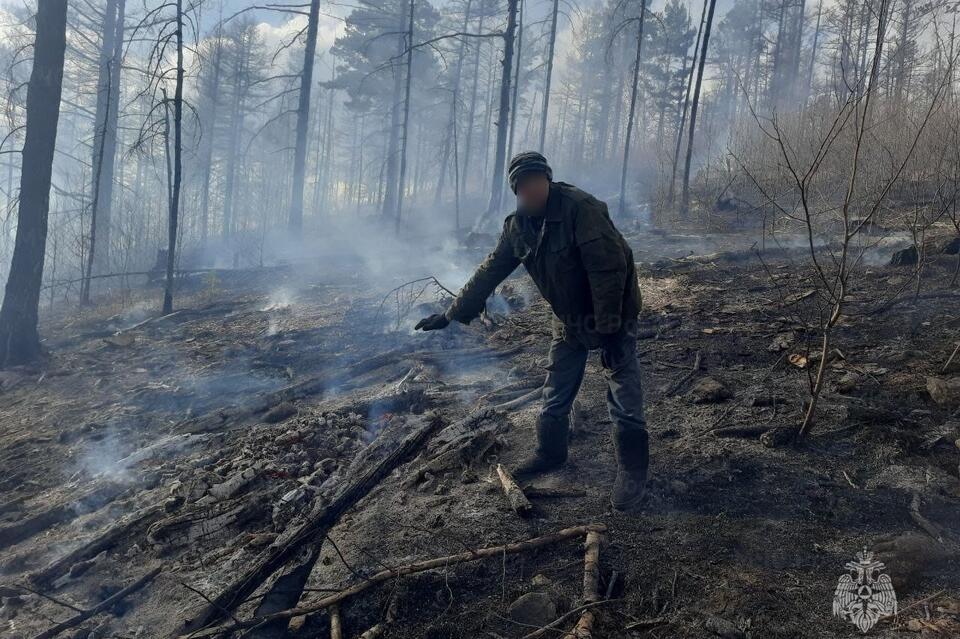 Первый в этом году лесной пожар произошел в Забайкалье