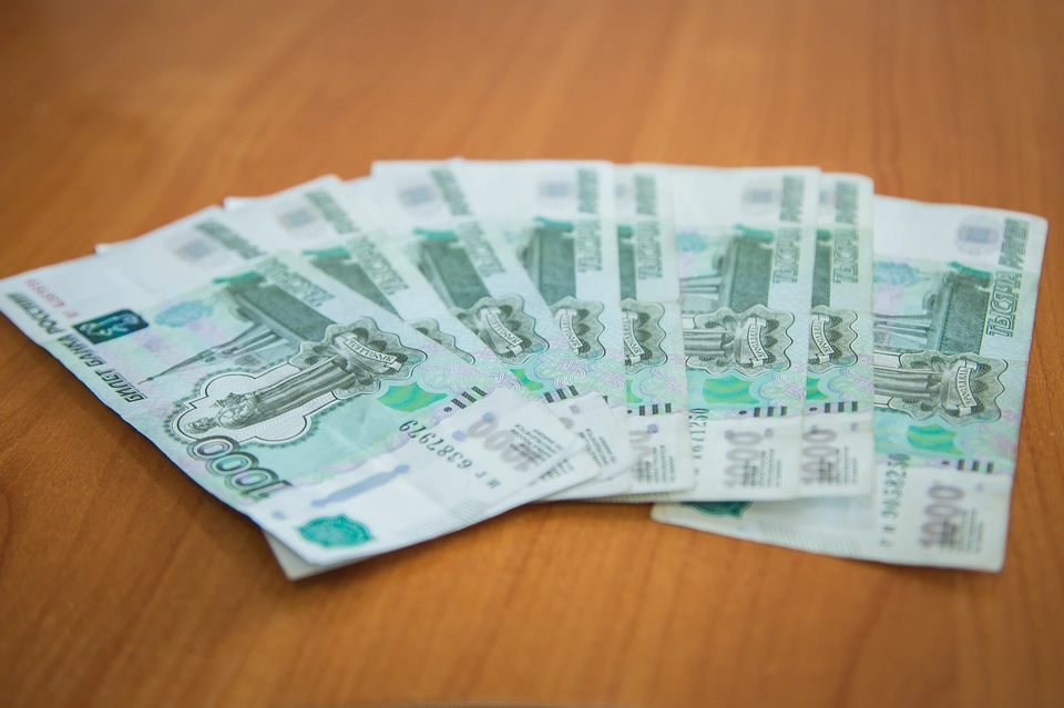 Глава забайкальской госэкспертизы заработал почти 6,5 млн рублей в 2019 году