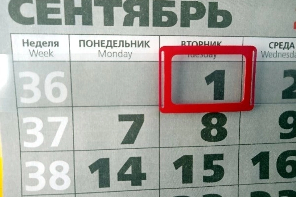 Минтруд РФ объяснил, как получить выходной 1 сентября
